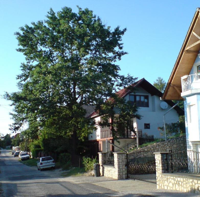Budai Garden House Hévíz Kamer foto