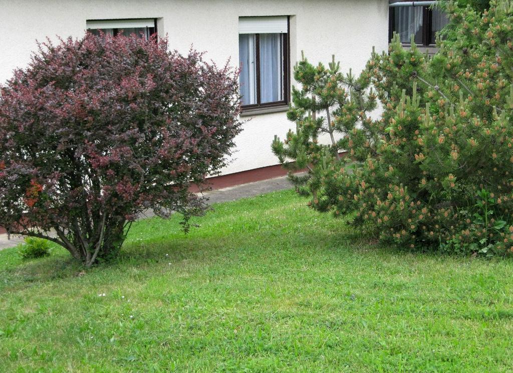 Budai Garden House Hévíz Kamer foto