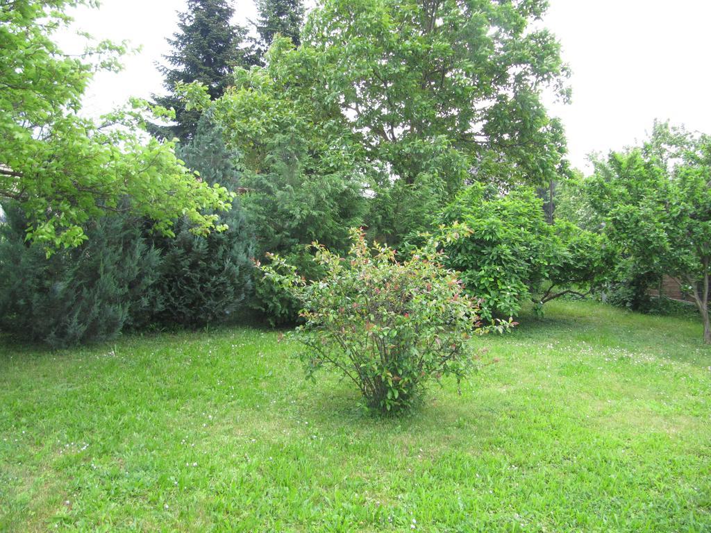 Budai Garden House Hévíz Kamer foto